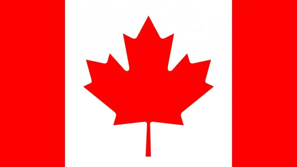 BrainiacGym Abacus Classes in Canada
